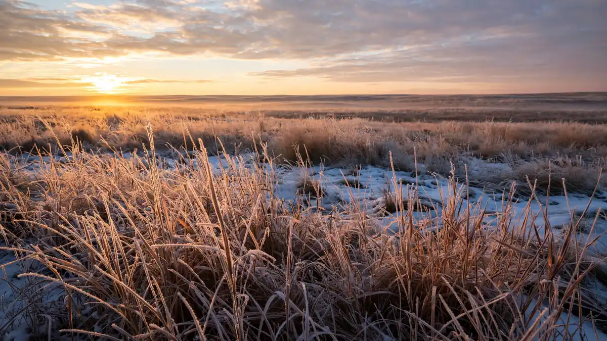 Snow-covered tallgrass prairie at sunrise in Kansas during winter