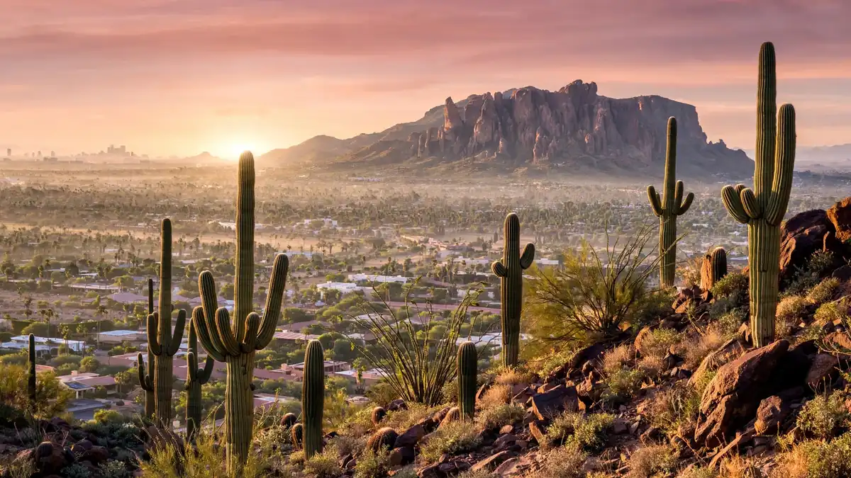 Saguaro cacti and Camelback Mountain above Phoenix Arizona at sunrise