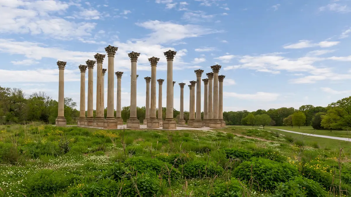 Former US Capitol columns standing in an open meadow at the National Arboretum, a unique place to visit in Washington DC