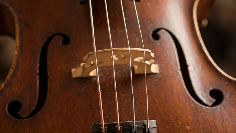cello-instrument-guide-everything-you-need-to-know