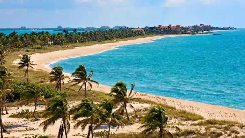 Palm-lined Boca Raton beach and coastline in South Florida on a bright day