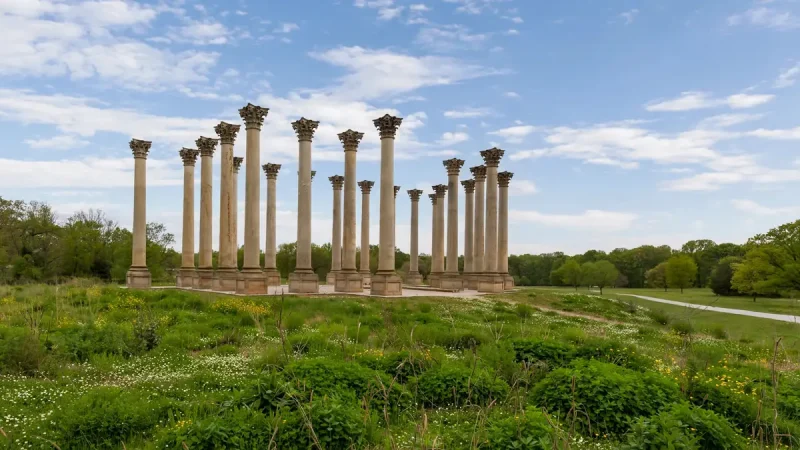 Former US Capitol columns standing in an open meadow at the National Arboretum, a unique place to visit in Washington DC